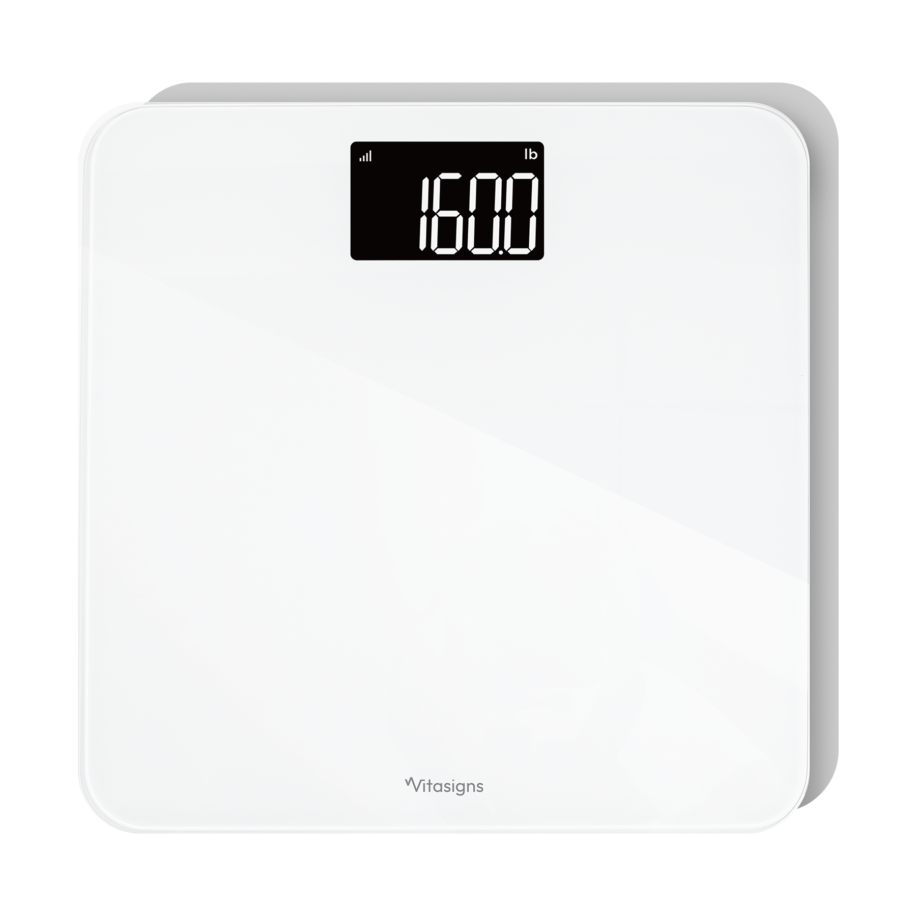 Vitasigns Weight Scale